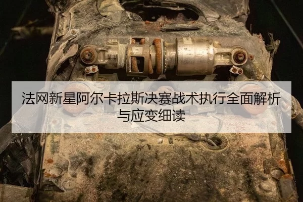 fa-wang-xin-xing-a-er-ka-la-si-jue-sai-zhan-shu-zhi-xing-quan-mian-jie-xi-yu-ying-bian-xi-du-2-331.jpg