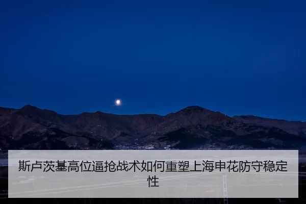 si-lu-ci-ji-gao-wei-bi-qiang-zhan-shu-ru-he-zhong-su-shang-hai-shen-hua-fang-shou-wen-ding-xing-2-825.jpg
