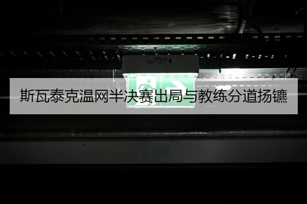 si-wa-tai-ke-wen-wang-ban-jue-sai-chu-ju-yu-jiao-lian-fen-dao-yang-biao-3-525.jpg